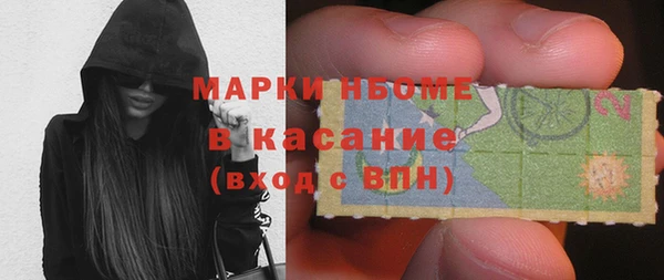 крисы Ельня