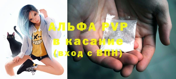крисы Ельня