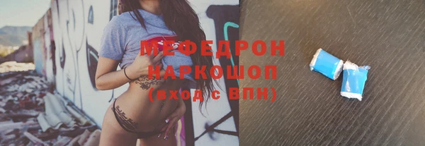 крисы Ельня
