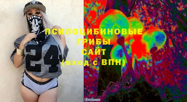 крисы Ельня