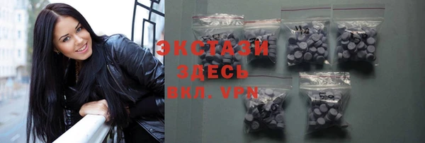 крисы Ельня