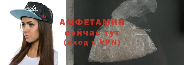 крисы Ельня