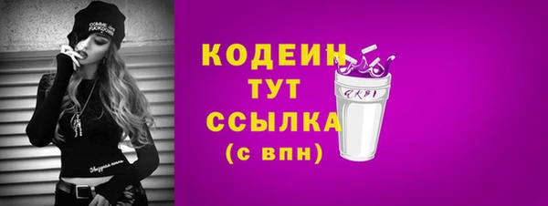 крисы Ельня