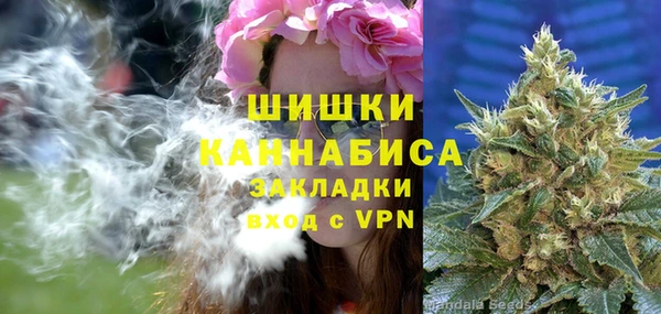 крисы Ельня