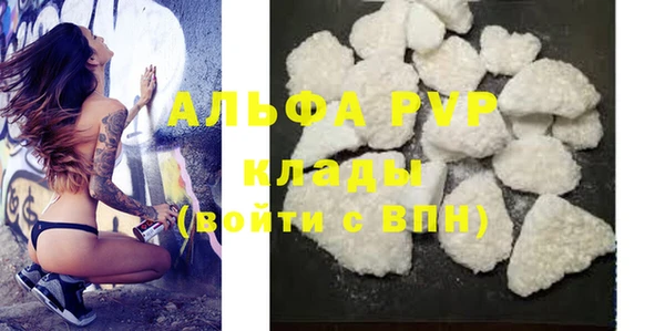 крисы Ельня