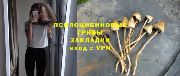 крисы Ельня