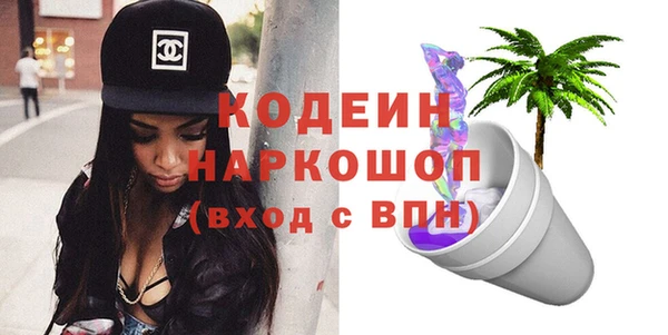 крисы Ельня