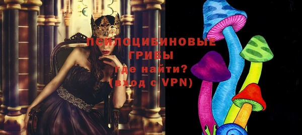 крисы Ельня