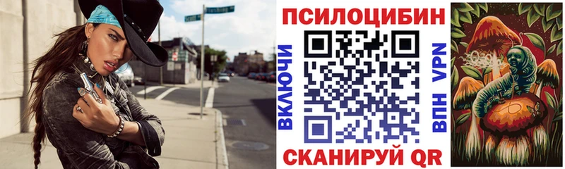 Купить где  Кедровый  Псилоцибиновые грибы ЛСД 